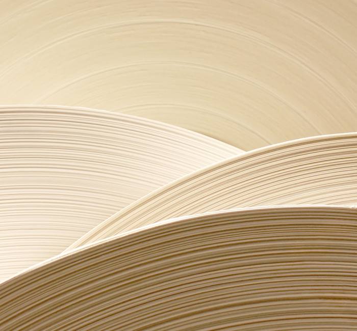 Paper & Packaging Industry